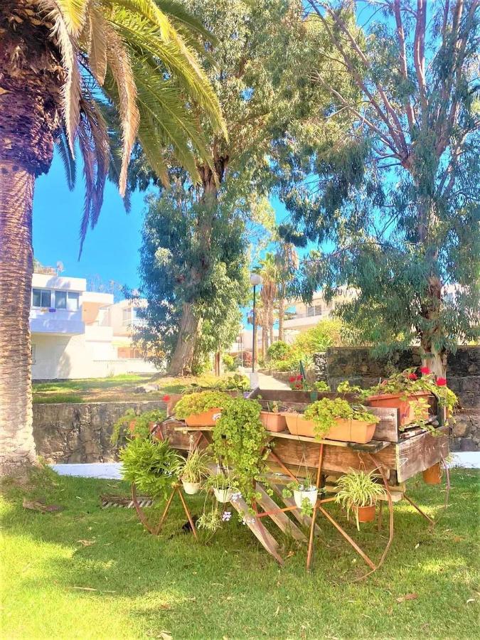 Marysol - Lovely Studio Tenerife Sur Arona  Extérieur photo