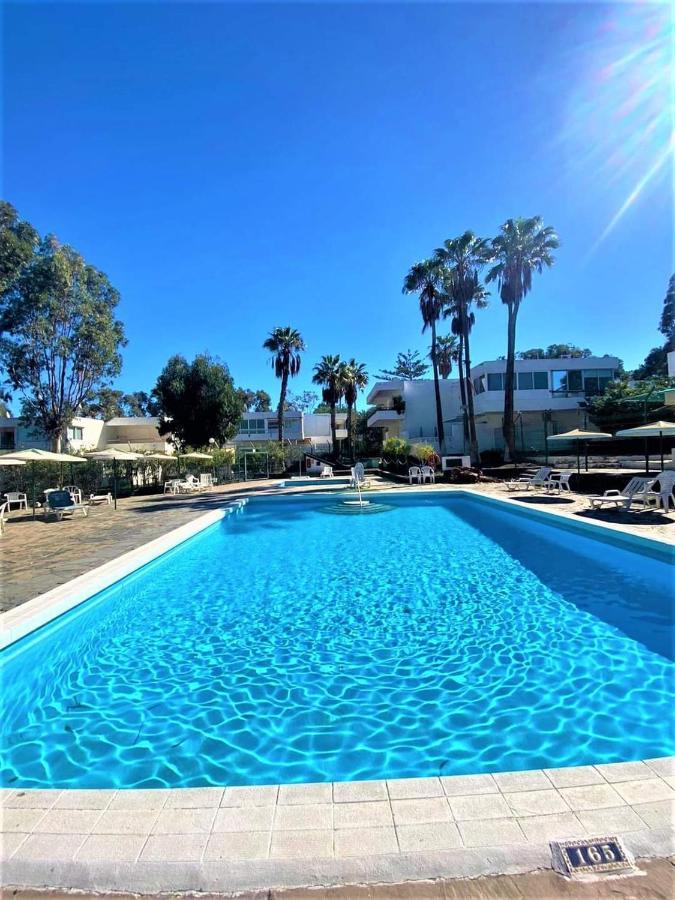 Marysol - Lovely Studio Tenerife Sur Arona  Extérieur photo