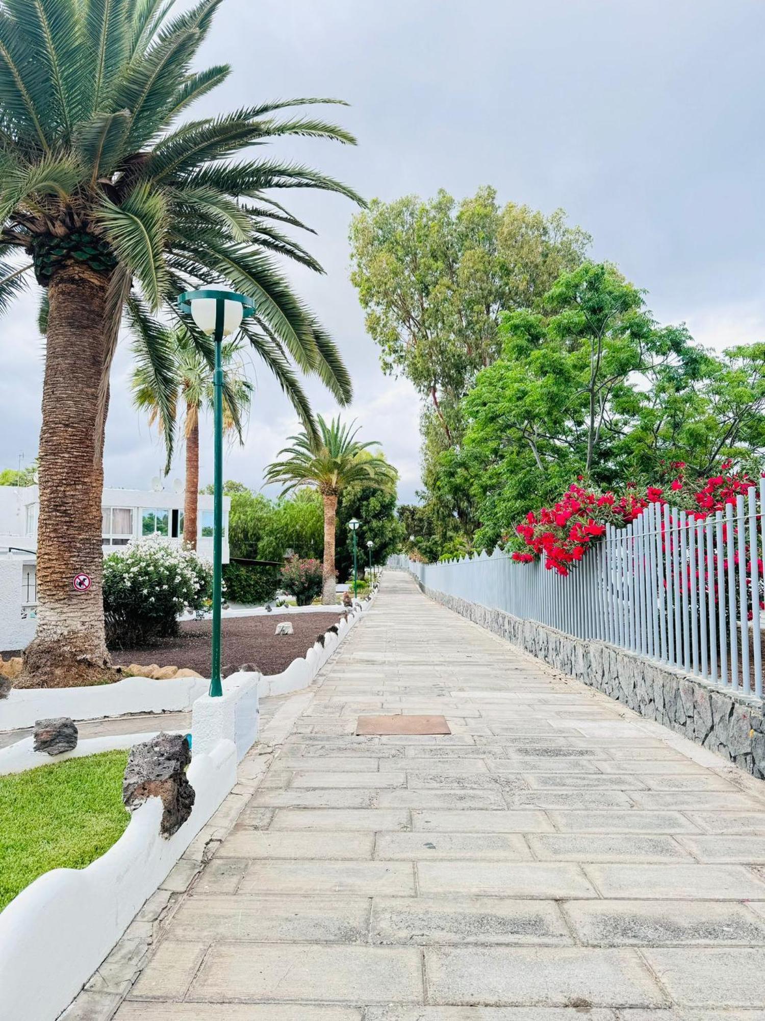 Marysol - Lovely Studio Tenerife Sur Arona  Extérieur photo